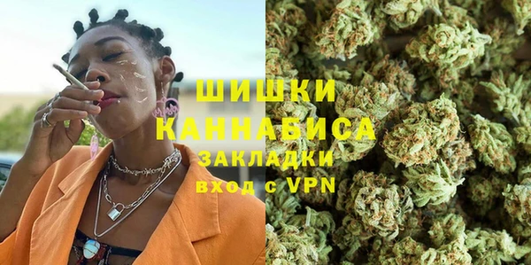 ГАЛЛЮЦИНОГЕННЫЕ ГРИБЫ Абаза