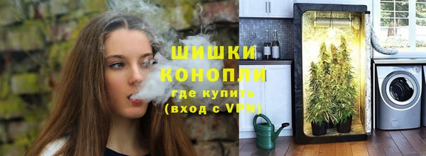 ГАЛЛЮЦИНОГЕННЫЕ ГРИБЫ Абаза