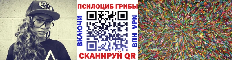 Псилоцибиновые грибы мицелий  Стерлитамак 