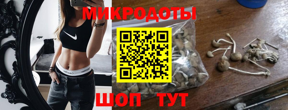 Стерлитамак  Псилоцибиновые грибы Psilocybe  Вход с VPN  Галлюциногенные грибы Magic Shrooms 